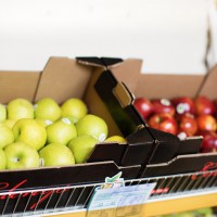 Okad Center, Geschäft Slim