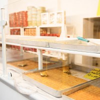 Okad Center, Ihre orientalische Bäckerei in Essen
